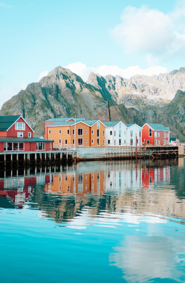 Website Creation in Algeria | Professional & Affordable Web Design Services Website Creation in Algeria | Professional & Affordable Web Design Services